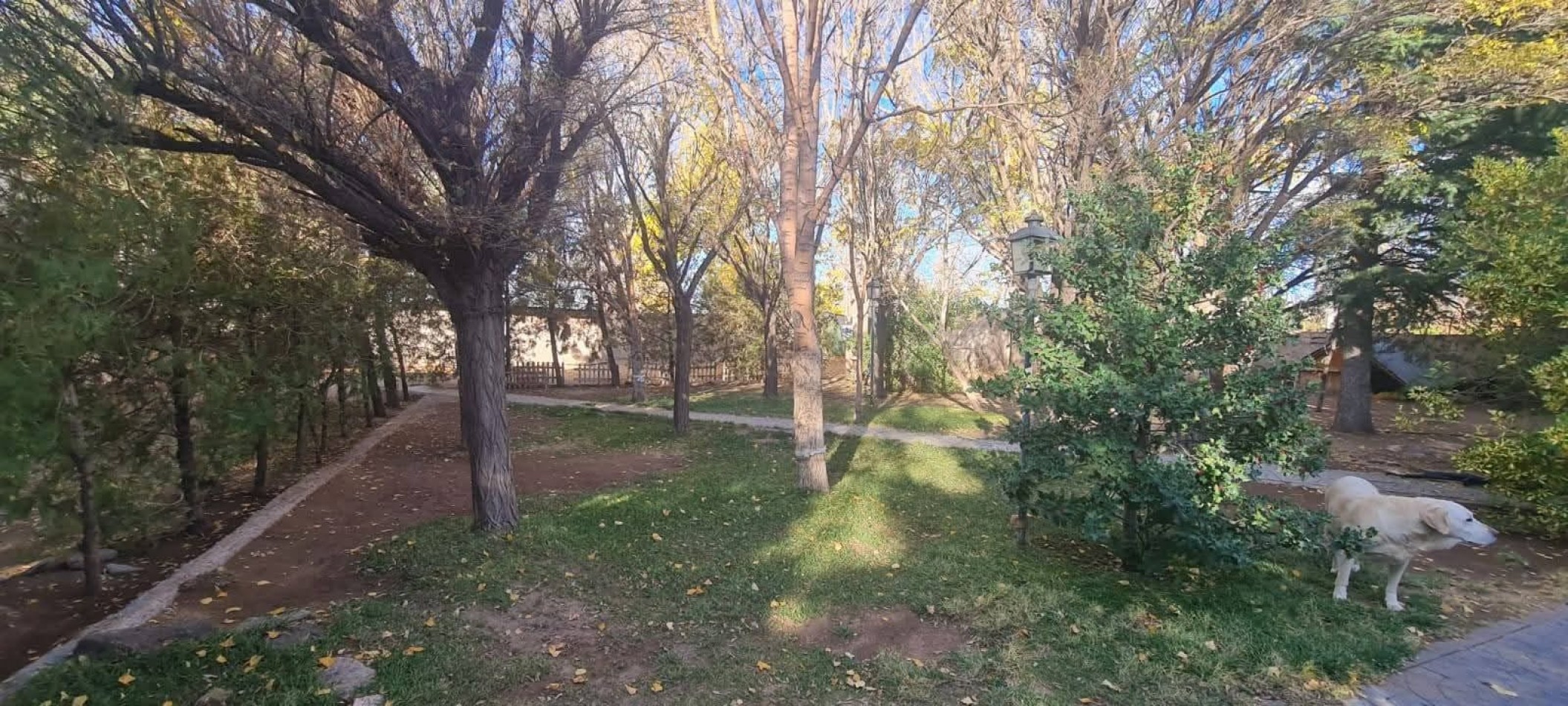 Propiedad en Manzana Completa